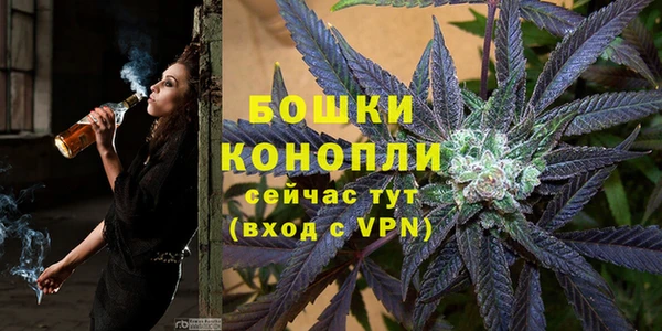 соль ск Гусиноозёрск