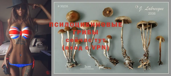 спиды Дмитриев