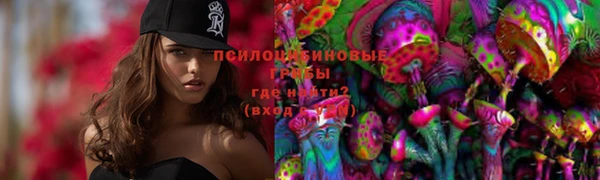 спиды Дмитриев