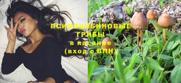 MESCALINE Гусев