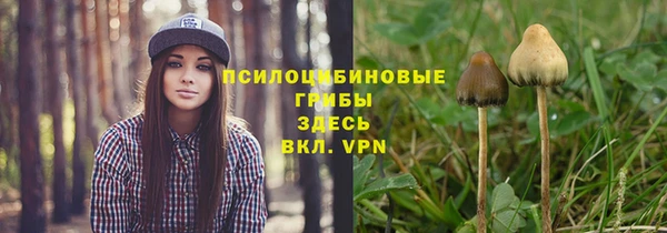 MESCALINE Гусев