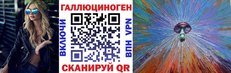 где купить наркотик  Дальнегорск  kraken зеркало  Псилоцибиновые грибы Psilocybe 